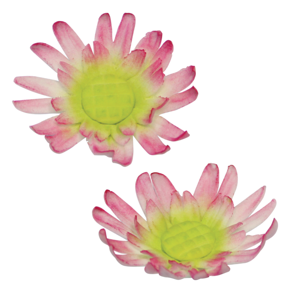 Gänseblümchen Ausstecher Set - Medium